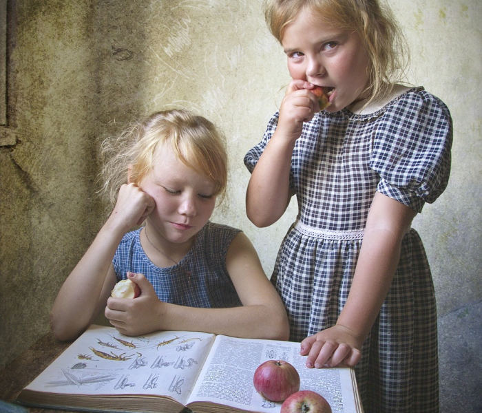 大丰麻将机质量怎么样/大丰麻将机质量怎么样啊 大丰麻将机质量怎么样/大丰麻将机质量怎么样啊