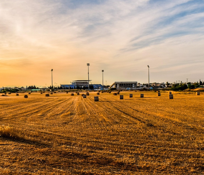 房卡必备教程“手机炸 金花房卡哪里买”房卡获取方式