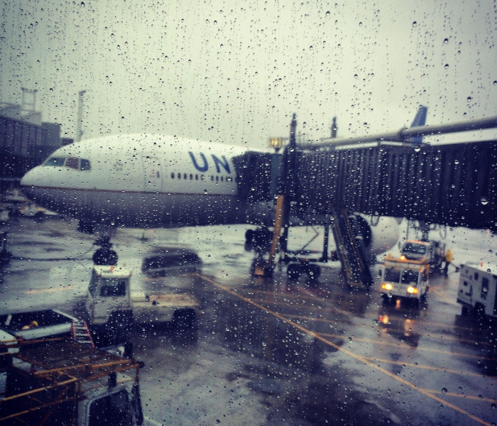 房卡必备教程“微信牛牛房卡多少钱一张”房卡获取方式