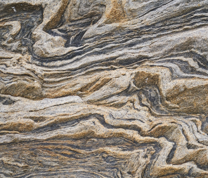 河北石家庄疫情源头探秘，冷链输入还是本土隐匿传播的谜团？