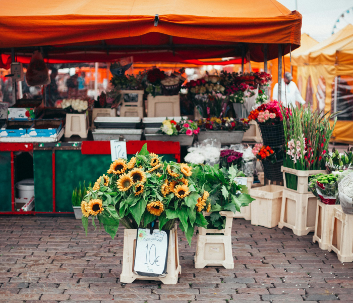 秒懂教程“炸 金花链接房卡哪里买”详细房卡使用教程
