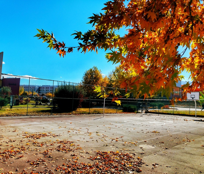 房卡必备教程“炸 金花房卡在哪里买的”获取房卡教程-哔哩哔哩