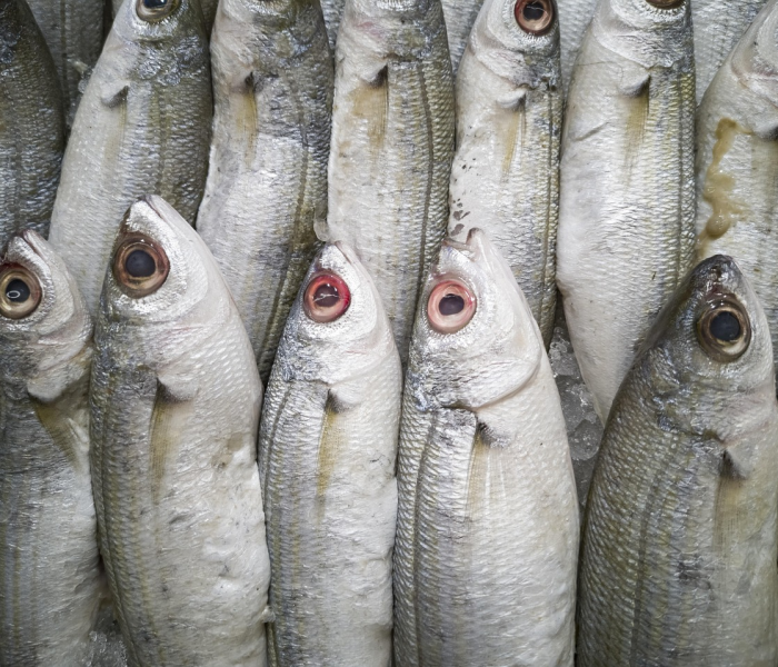 【冷冻食品出现阳性,冷冻食品出现阳性怎么处理】