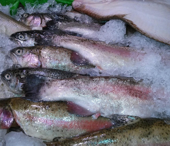 【冷冻食品出现阳性,冷冻食品出现阳性怎么处理】