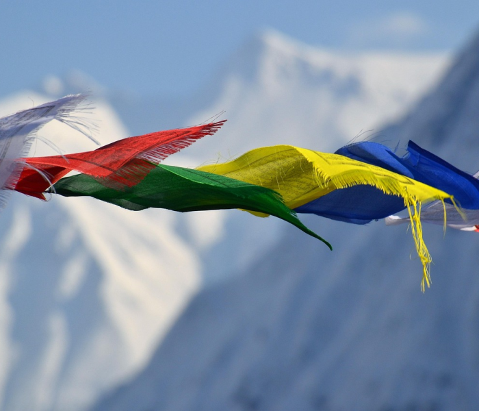 房卡全攻略“微信群牛牛房卡哪里购买”房卡详细充值