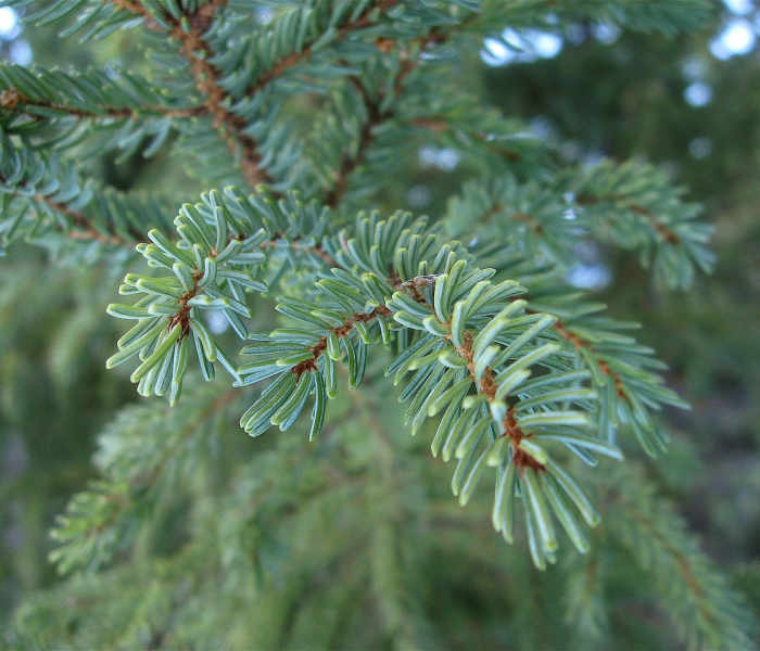 深圳疫情最新动态，精准防控下的城市韧性与生活新常态
