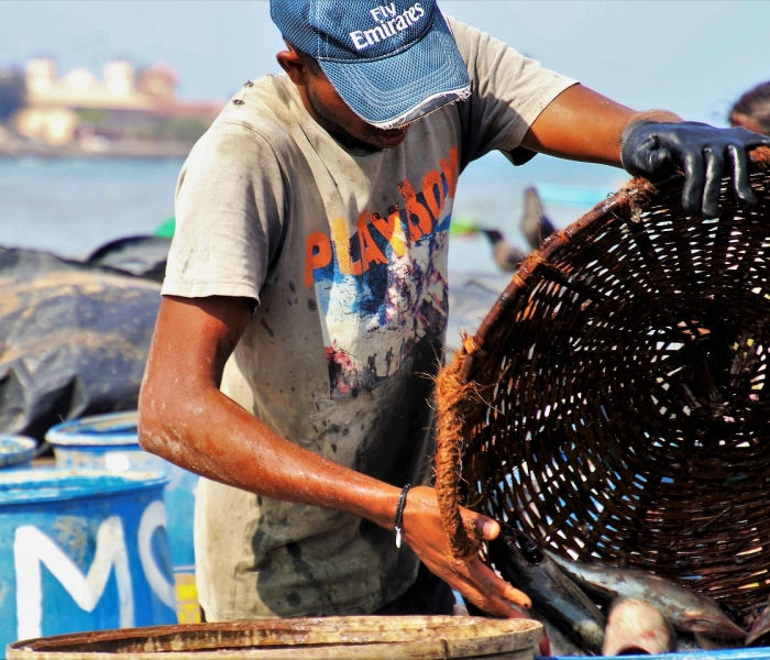 房卡必备教程“手机炸 金花房卡哪里买”房卡链接获取 房卡必备教程“手机炸 金花房卡哪里买”房卡链接获取