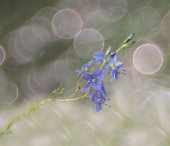 现在治愈的患者复阳有的多少:国内惊现治愈后复阳