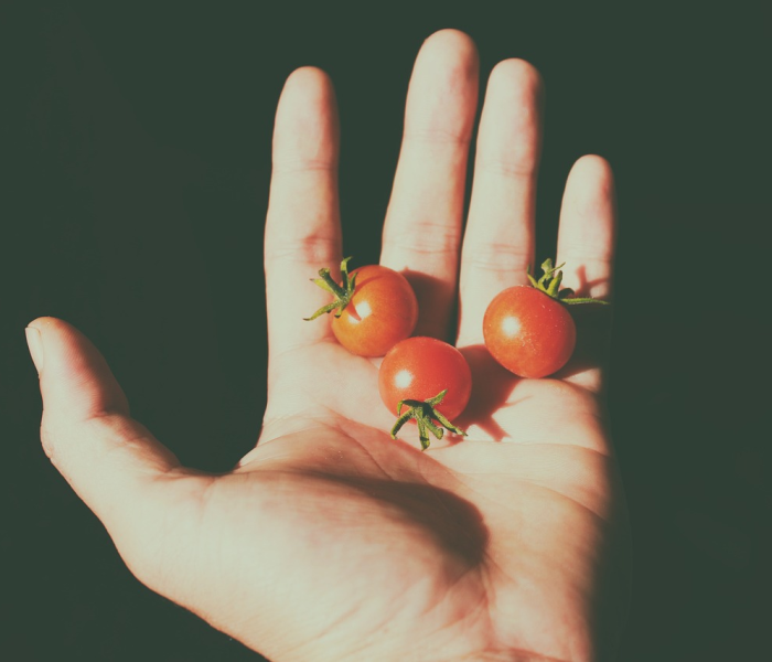 一分钟介绍使用“(新版)圣游大厅牛牛房卡”房卡链接获取