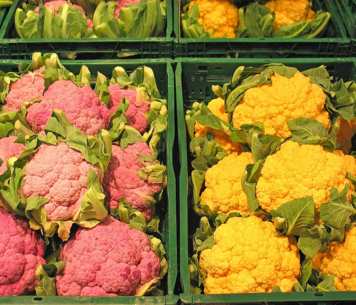 上海市抢种蔬菜8万多亩种植:上海市抢种蔬菜8万多亩种植基地