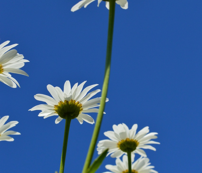 辽宁疫情风险褪色记，从风暴眼到常态化防控的样本解析