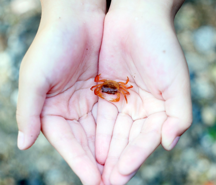 房卡全攻略“微信群炸 金花链接怎么弄的”房卡详细充值 房卡全攻略“微信群炸 金花链接怎么弄的”房卡详细充值