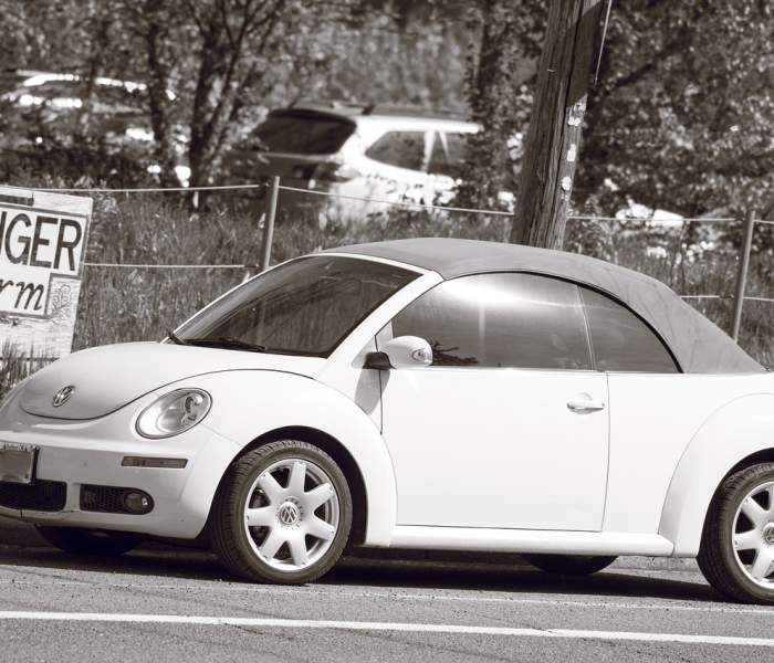 房卡必备教程“微信群金花房卡哪里买”轻松获取房卡全渠道