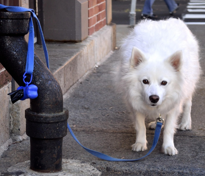 房卡必备教程“微信链接金花房卡哪里买”轻松获取房卡全渠道