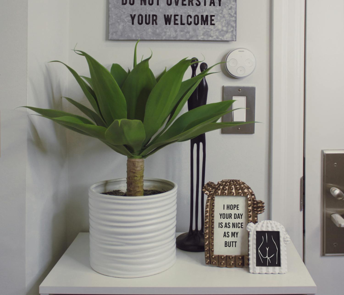 给大家讲解“有没有微信炸 金花房卡”获取房卡教程-哔哩哔哩 给大家讲解“有没有微信炸 金花房卡”获取房卡教程-哔哩哔哩