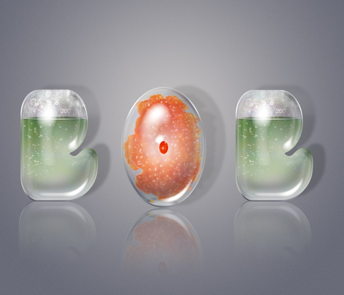 新冠疫苗有几种厂家/新冠疫苗有几种厂家生产