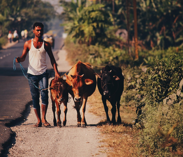 一分钟实测分享“微信群炸 金花房卡链接”详细房卡教程