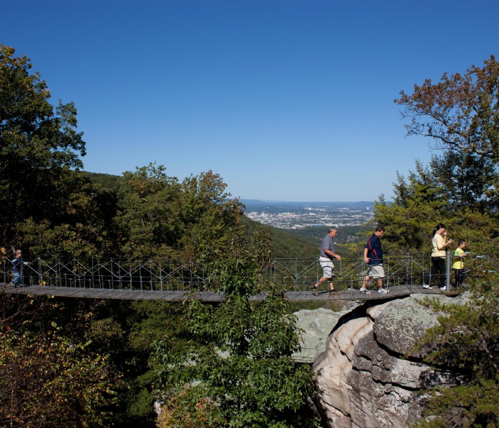 一分钟介绍使用“微信炸 金花房卡链接有挂吗”获取房卡教程-哔哩哔哩