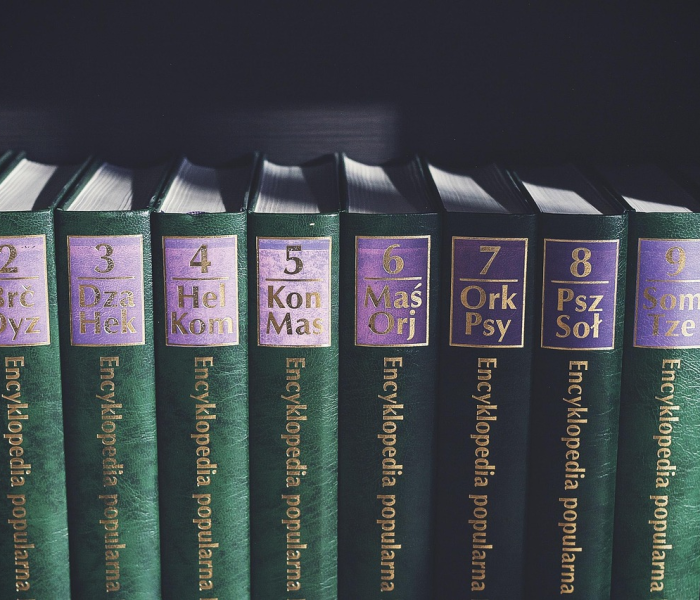 【广州限牌规则处罚规定,广州限牌规则处罚规定最新】