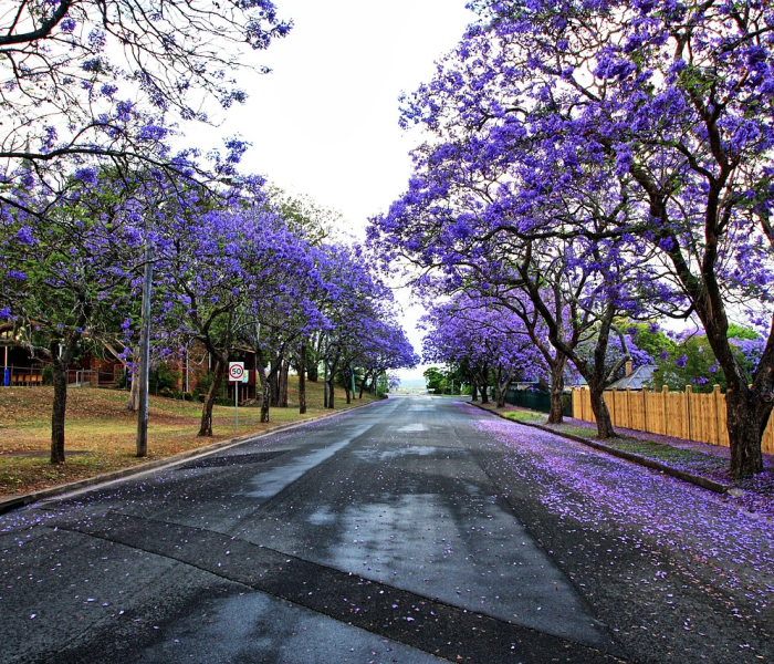 【文旅部通知暂停跨省团队旅游/文旅部通知恢复跨省团队旅游了】