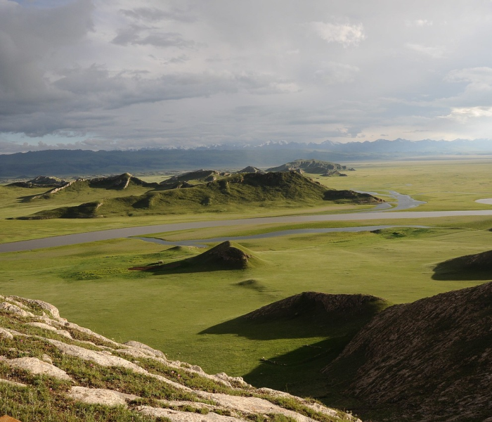 房卡必备教程“微信金花房卡哪里买”获取房卡教程-哔哩哔哩