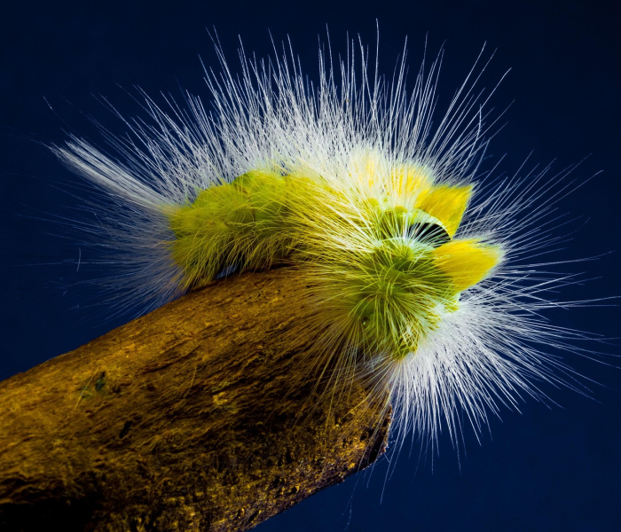 【ca124航班轨迹,ca124航班动态】