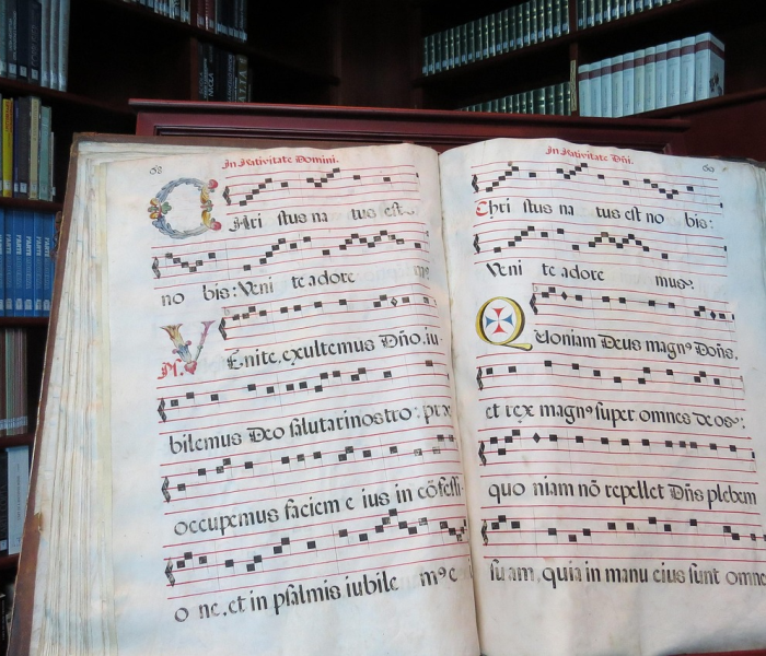 曾老说先四年疫情后灾/曾老说先四年疫后灾后面出妖