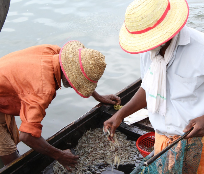 【印度疫情死亡最新情况最新消息/印度疫情死亡最新情况最新消息新闻】