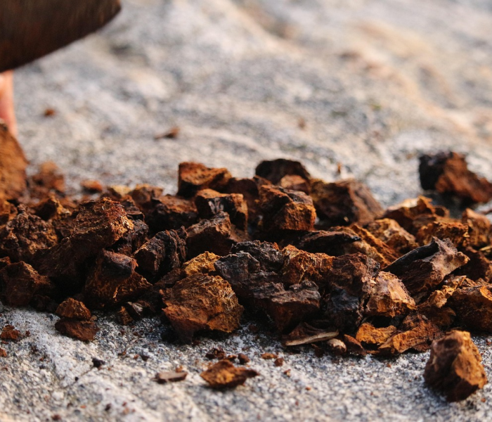 【桦加沙最新报道/桦加桦树酒多少钱一瓶】