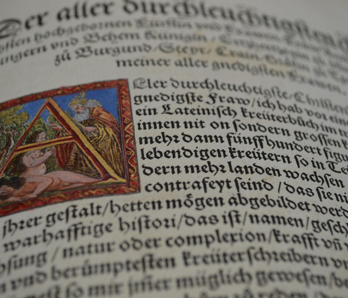 济宁新冠疫情防控新进展，全面解析当前态势与市民应对指南