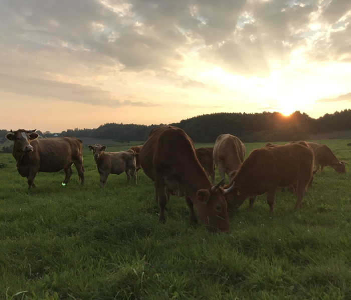 给大家讲解“微信炸 金花链接怎样弄”房卡获取方式