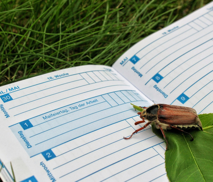 秒懂教程“盘古大厅牛牛房卡”详细房卡怎么购买教程 秒懂教程“盘古大厅牛牛房卡”详细房卡怎么购买教程