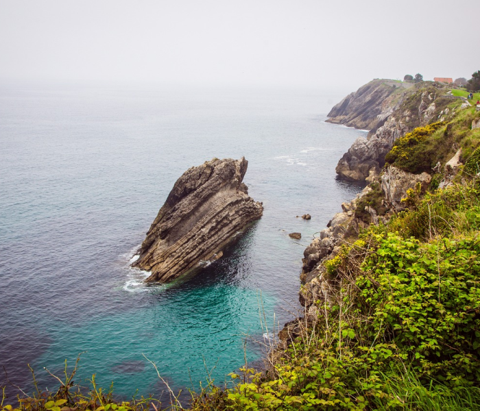 上海到青岛旅游攻略必去景点（上海到青岛旅游攻略必去景点推荐）