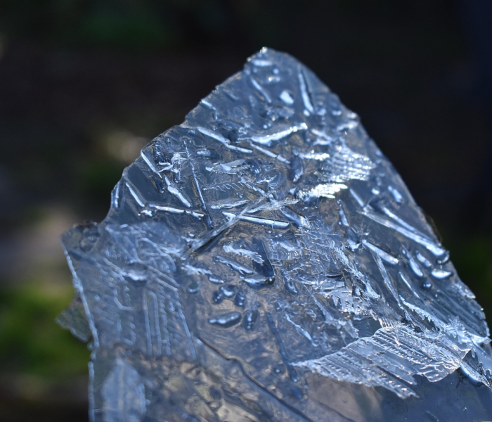 【南非病毒株,南非 病毒】 【南非病毒株,南非 病毒】