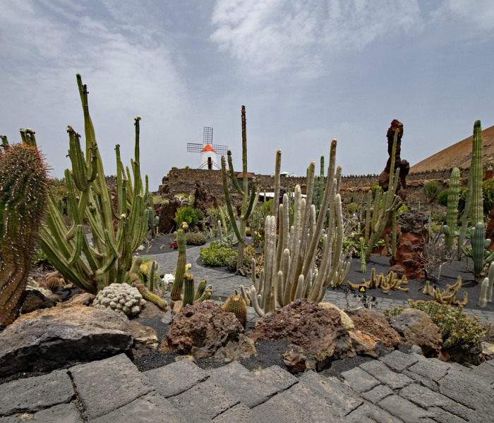 秒懂百科“微信牛牛房卡金花”获取房卡教程-哔哩哔哩 秒懂百科“微信牛牛房卡金花”获取房卡教程-哔哩哔哩