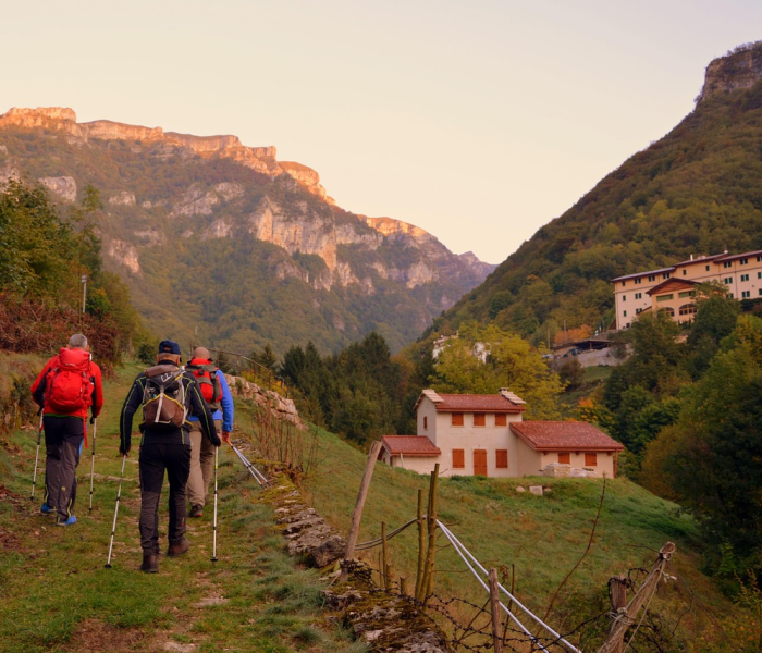 秒懂百科“微信炸 金花房卡链接购买”获取房卡教程-哔哩哔哩