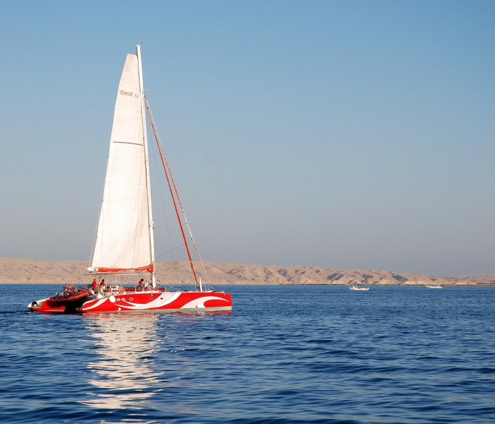 秒懂教程“微信金花房卡在哪买”详细房卡教程 秒懂教程“微信金花房卡在哪买”详细房卡教程