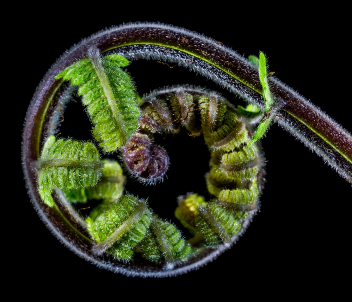 给大家讲解“微信炸 金花链接房卡”房卡详细充值 给大家讲解“微信炸 金花链接房卡”房卡详细充值