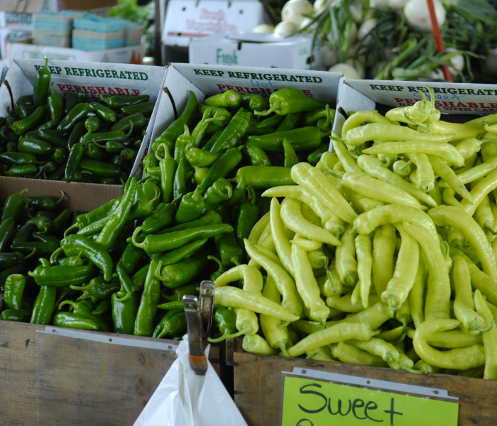 秒懂教程“在哪里买炸 金花房卡便宜又好玩”详细房卡怎么购买教程 秒懂教程“在哪里买炸 金花房卡便宜又好玩”详细房卡怎么购买教程