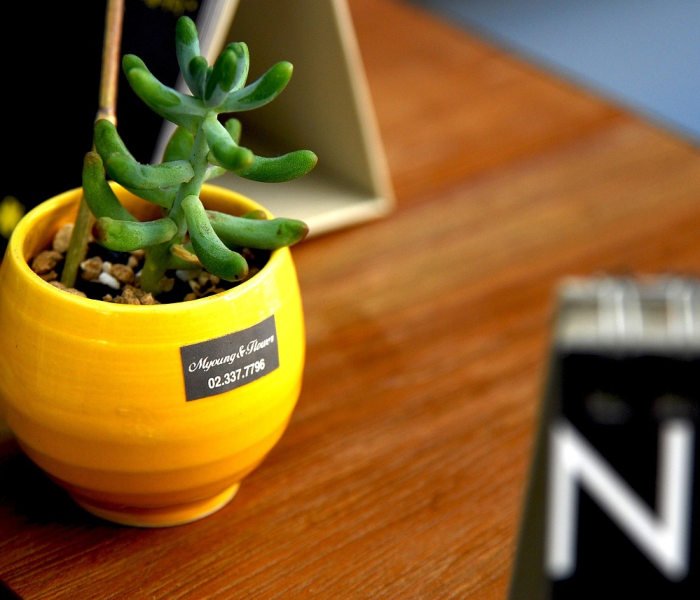 一分钟介绍使用“有没有微信这炸 金花房卡”详细房卡使用教程