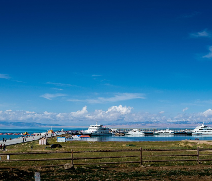 房卡必备教程“微信群牛牛房卡多少钱”房卡链接获取