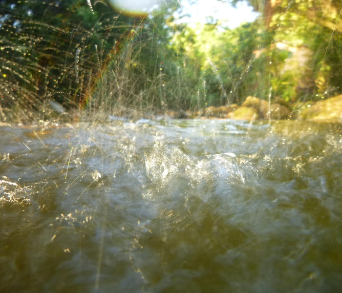 【明年解封,明年解封了可以捕鱼了吗】