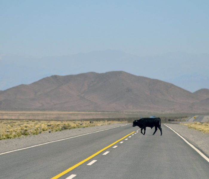 房卡必备教程“微信新老夫子大厅房卡充值”轻松获取房卡全渠道 房卡必备教程“微信新老夫子大厅房卡充值”轻松获取房卡全渠道