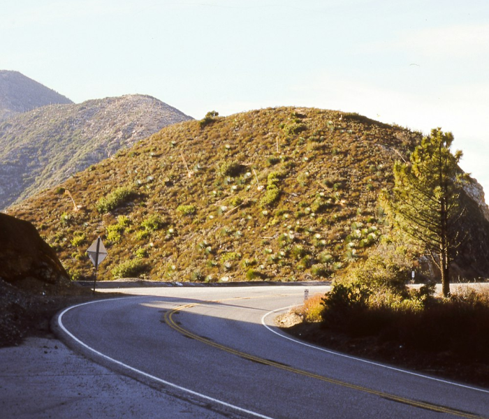 房卡必备教程“微信新老夫子大厅房卡充值”轻松获取房卡全渠道 房卡必备教程“微信新老夫子大厅房卡充值”轻松获取房卡全渠道