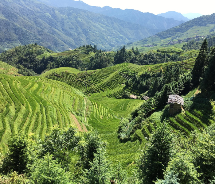 【衢州一日游,衢州一日游最佳路线图】 【衢州一日游,衢州一日游最佳路线图】