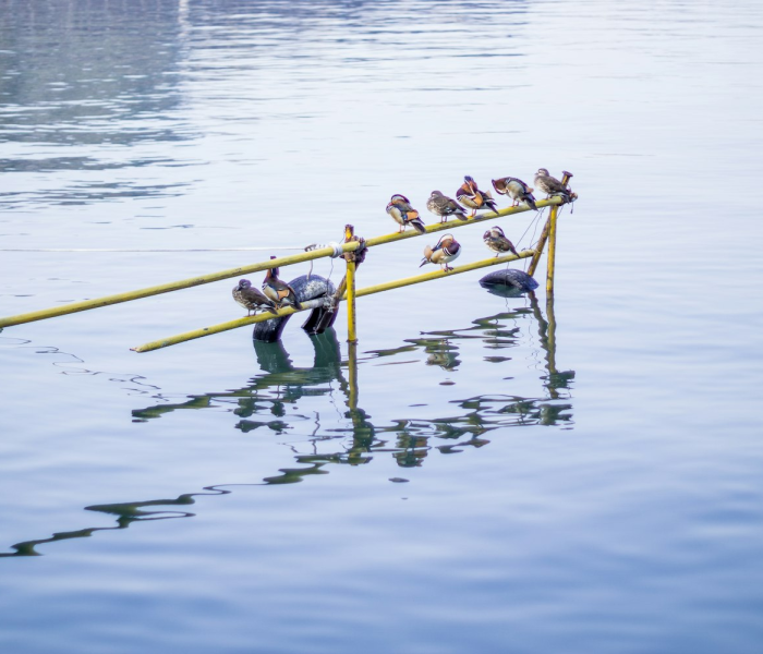 甘肃定西返乡记,黄土坡上的新绿与游子的归途 甘肃定西返乡记,黄土坡上的新绿与游子的归途