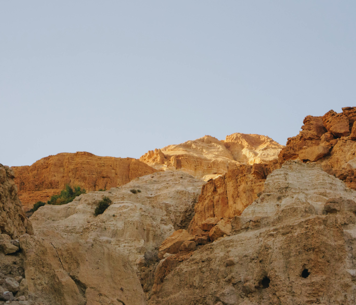 以色列遭疫情反扑:以色列遭疫情反扑是真的吗