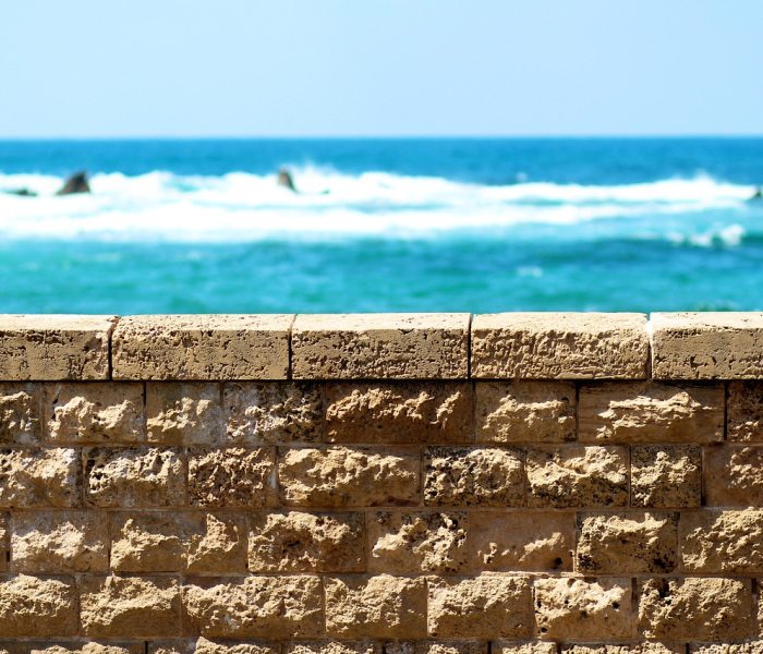 以色列遭疫情反扑:以色列遭疫情反扑是真的吗