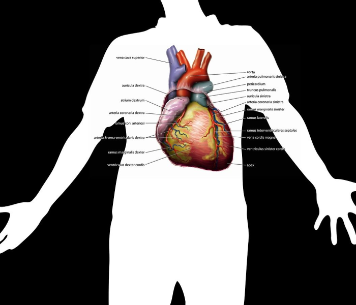 秒懂百科“微信牛牛炸 金花房卡链接”详细房卡怎么购买教程