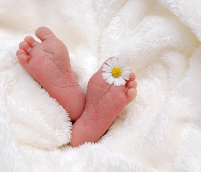 秒懂百科“微信炸 金花房卡如何充值”获取房卡教程-哔哩哔哩